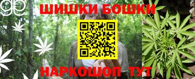 шишки Апшеронск