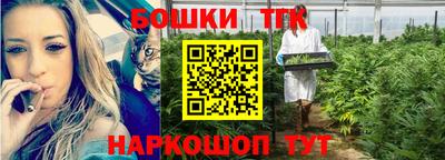 шишки Апшеронск