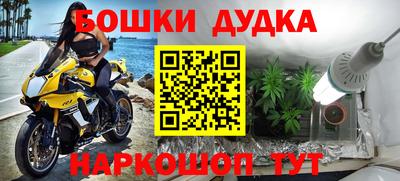 шишки Апшеронск